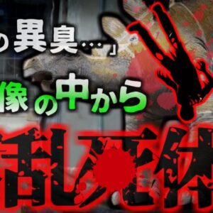 【2021年】「変な臭いがする…」広場に展示されていたステゴザウルスの恐竜オブジェの中から変死体 行方不明になっていた男性は何故こんなところに？【ゆっくり解説】