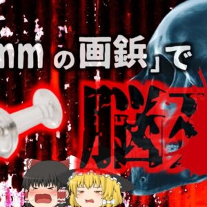 【2021年】「たった10mmの針」によって命を落とした幼児 誤嚥していたのは小さな画鋲…？肺に穴空き脳死状態に 【ゆっくり解説】