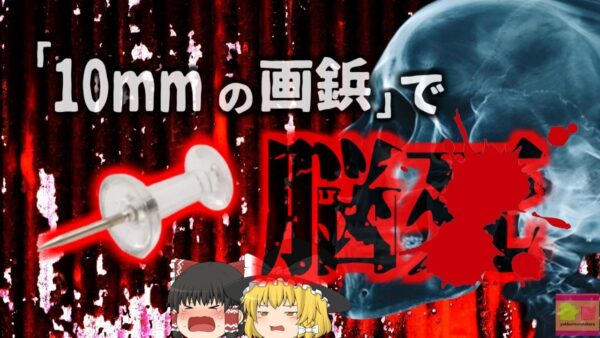 【2021年】「たった10mmの針」によって命を落とした幼児 誤嚥していたのは小さな画鋲…？肺に穴空き脳死状態に 【ゆっくり解説】