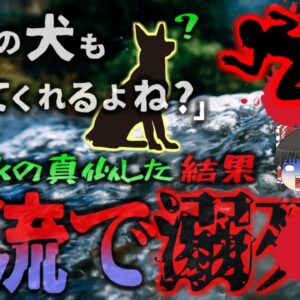 【2023年】「溺れた時に愛犬が助けてくれたニュースやってる…ウチの子も助けてくれるかな？」→川で飼い犬が自分を助けてくれるか検証した女性、そのまま溺〇してしまう【ゆっくり解説】