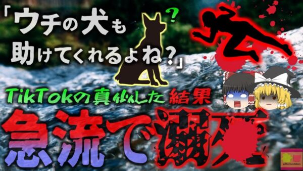 【2023年】「溺れた時に愛犬が助けてくれたニュースやってる…ウチの子も助けてくれるかな？」→川で飼い犬が自分を助けてくれるか検証した女性、そのまま溺〇してしまう【ゆっくり解説】