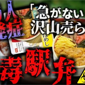 【2023年】老舗メーカー販売の駅弁で583人が食中毒 繁忙期に約20000食を納品するため 不衛生な環境で作ってしまった『猛毒弁当』 全国の駅弁ファン苦しむ【ゆっくり解説】