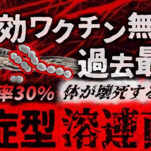 【2024年】「過去最悪」突然発症して体が壊死する感染症 1333人発症 250人以上が死亡した『劇症型溶血性レンサ球菌感染症』に注意【ゆっくり解説】