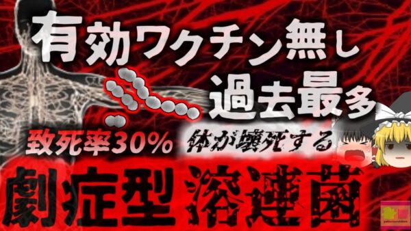【2024年】「過去最悪」突然発症して体が壊死する感染症 1333人発症 250人以上が死亡した『劇症型溶血性レンサ球菌感染症』に注意【ゆっくり解説】