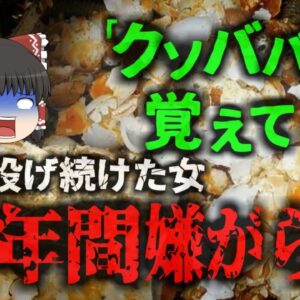 【2024年】「ク〇ババァ!覚えとけ!!」生卵を投げつける嫌がらせ　無職女を逮捕 19年間投げられた卵により200万円以上の被害が・・・絶対にやってはいけない迷惑行為【ゆっくり解説】