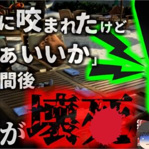 【2024年】「痛っ…何かに刺された」レストランで『何か』に刺された男性 足がドス黒く変色し5日後に死亡 犯人は毒グモ？【ゆっくり解説】