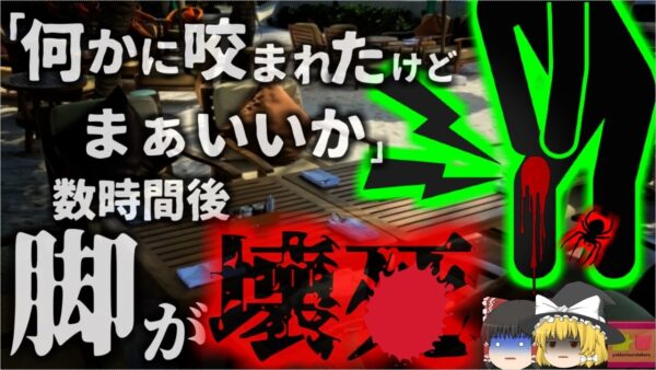 【2024年】「痛っ…何かに刺された」レストランで『何か』に刺された男性 足がドス黒く変色し5日後に死亡 犯人は毒グモ？【ゆっくり解説】