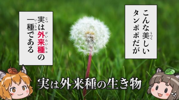 【えっ】意外すぎる？実は外来種だった生き物7選