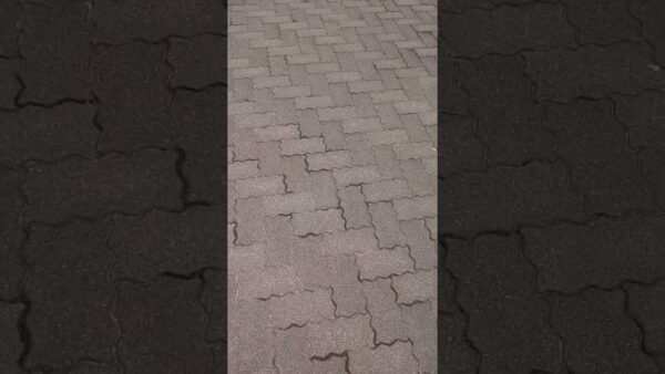 社会保険労務士の試験、挑んできます！ #資格 #shorts #社会保険労務士