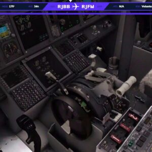 フライトシムやります