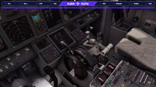 フライトシムやります