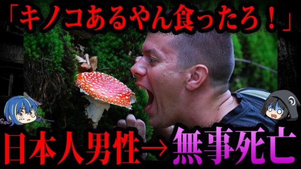 【ゆっくり解説】本当に令和の出来事？最近起きた意味不明な事件５選