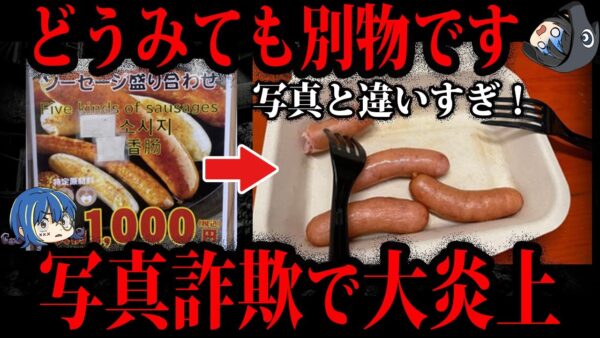 【ゆっくり解説】絶対に騙されないで！写真詐欺で炎上した事件５選