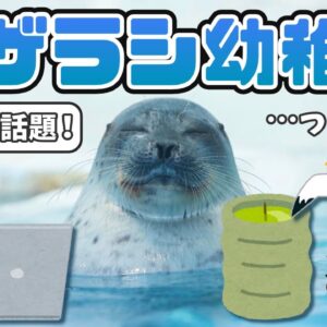 【話題】ネットで大ブームの「アザラシ幼稚園」とは一体なんなのか？