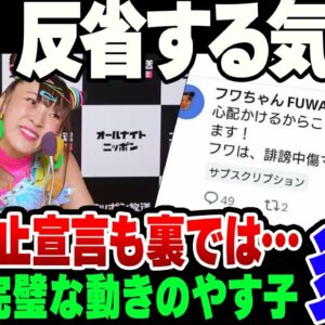 【大炎上】フワちゃん、活動休止。なお反省する気は全くないのが暴露されてさらに燃えている模様【ゆっくり解説】