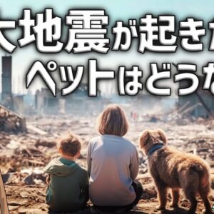 【大事な備え】巨大地震が起きたらペットはどうなるのか？