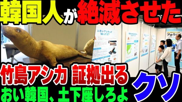 【ゆっくり解説】竹島のニホンアシカは日本が絶滅させた！とわめいた韓国、だが韓国が自爆する資料が出てきた模様