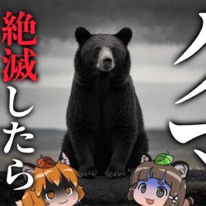 【疑問】クマが絶滅したらどうなるのか？