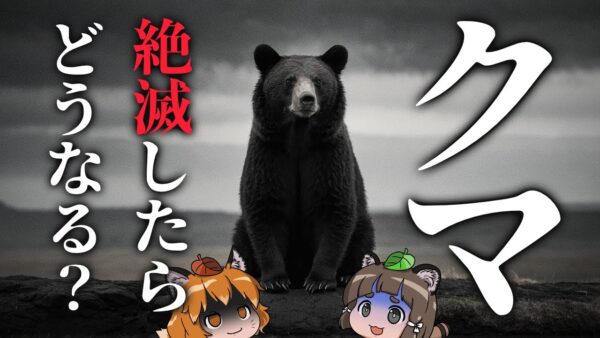 【疑問】クマが絶滅したらどうなるのか？