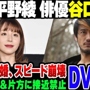 【平野綾】交際0日婚の声優 平野綾＆俳優 谷口賢志、警察沙汰で離婚を決めるが、お互いに相手のDVを主張。なお実は警察に守られているのは片方だけ【ゆっくり解説】