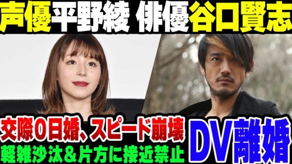 【平野綾】交際0日婚の声優 平野綾＆俳優 谷口賢志、警察沙汰で離婚を決めるが、お互いに相手のDVを主張。なお実は警察に守られているのは片方だけ【ゆっくり解説】