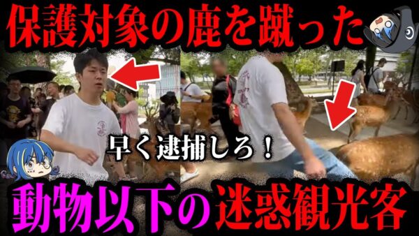 【ゆっくり解説】2度と家から出てくるな！観光地を荒らした迷惑観光客５選