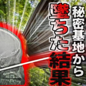 【2018年】「あっ！！」庭のツリーハウスで遊んでいた少年 自分で地面に刺していたバーベキュー用の串が顔面を貫通し…【ゆっくり解説】