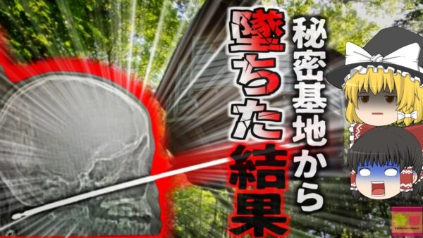 【2018年】「あっ！！」庭のツリーハウスで遊んでいた少年 自分で地面に刺していたバーベキュー用の串が顔面を貫通し…【ゆっくり解説】