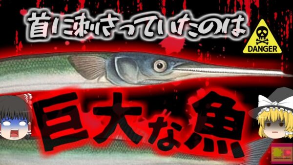 【2020年】釣りをしている最中、水面から現れた『何か』が首に刺さり貫通 漁師やダイバー 釣り人の命を奪っている「サメより恐ろしい魚類」の正体とは　ダツ刺傷事故【ゆっくり解説】