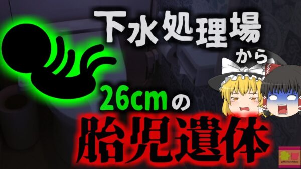 【2023年】「小さな人のようなものが落ちてる」下水施設で見つかった小さな遺体 身長約26cmの男児は一体どこから流れてきた？『藤沢市下水処理場胎児遺棄事件』【ゆっくり解説】