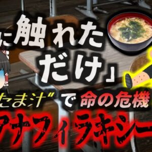 【2024年】『肘が容器に触れていただけ？』小学校の給食の時間中、男児が突然苦しみだし重体に…保護者と学校の言い分が全く異なる？『かきたま汁アナフィラキシー』【ゆっくり解説】