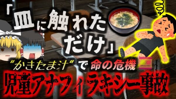 【2024年】『肘が容器に触れていただけ？』小学校の給食の時間中、男児が突然苦しみだし重体に…保護者と学校の言い分が全く異なる？『かきたま汁アナフィラキシー』【ゆっくり解説】