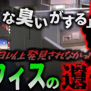 【2024年】「そんなバカな」オフィスに座ったまま死亡した女性4日以上誰にも気付かれず異臭でようやく発見される　大手銀行のオフィスで何があった？『Wells Fargo変死事件』【ゆっくり解説】
