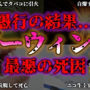 <span class="title">【ゆっくり解説】【ダーウィン賞】最も愚かな○因（シイン）5選『闇学』</span>