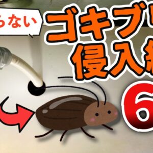 【9割が知らない】ゴキブリの侵入経路6選｜賃貸やマンションに出るのはなぜ？