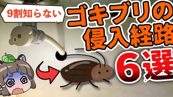 【9割が知らない】ゴキブリの侵入経路6選｜賃貸やマンションに出るのはなぜ？