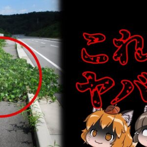 【ヤバい】歩道の雑草を見かけたらすぐに通報してください