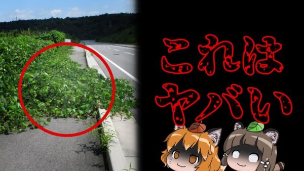 【ヤバい】歩道の雑草を見かけたらすぐに通報してください