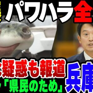【パワハラ】兵庫県知事、百条委員会に出た後の言い訳にだいぶ無理がある模様。あらたなトラブルも発覚。不信任決議直前【ゆっくり解説】
