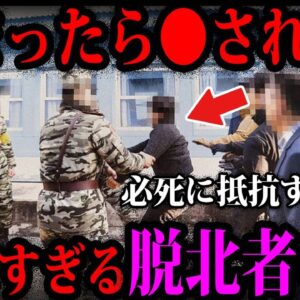 【ゆっくり解説】捕まったら●刑…脱北者の悲惨な末路