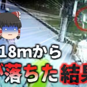 【2020年】突然空から降ってきた猫で首を損傷した通行人 寝たきり状態になる なぜ上空から猫が落ちてきた？(中国)【ゆっくり解説】
