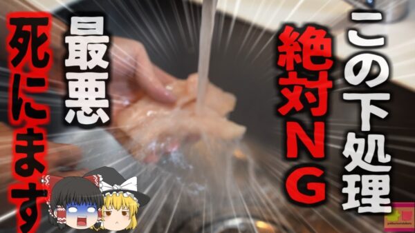【2023年】『死を招く調理法』歩くことも声を出すことも排泄も自分ではできなくなる恐ろしい病気 絶対にNGな肉の下処理方法『ギランバレー症候群』【ゆっくり解説】