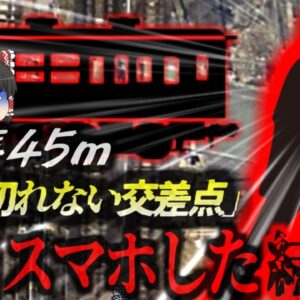【2024年】『渡り切れない踏切？』歩きスマホをしていた男性 何故か踏切内で立ち止まり列車に轢かれて死亡 彼は何故そんな所で止まっていた？【ゆっくり解説】