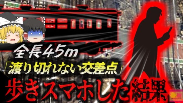 【2024年】『渡り切れない踏切？』歩きスマホをしていた男性 何故か踏切内で立ち止まり列車に轢かれて死亡 彼は何故そんな所で止まっていた？【ゆっくり解説】