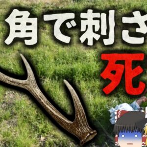 【2024年】『体に穴が空いていた』行方不明の男性 田園地帯で変死体となって発見される 犯人は…野生のシカ？【ゆっくり解説】