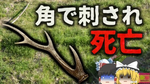 【2024年】『体に穴が空いていた』行方不明の男性 田園地帯で変死体となって発見される 犯人は…野生のシカ？【ゆっくり解説】