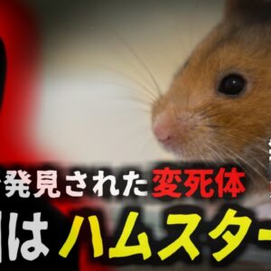 【2024年】『母はハムスターに〇された』変わり果てた姿で病院前に倒れていた女性が死亡 原因はたった数ミリの噛み傷？【ゆっくり解説】