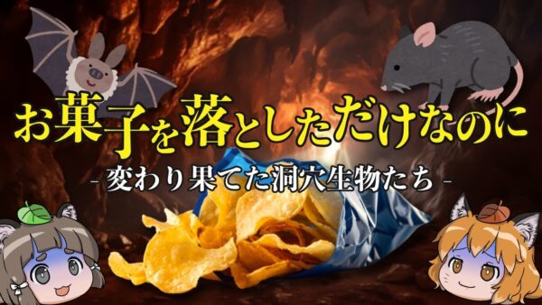 【悲劇】観光客が落としたお菓子、生態系を破壊してしまう…ほか3本【生き物ニュース】