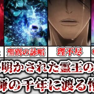 【ゆっくり解説】ついに明かされた霊王の真名と滅却師の千年に渡る憎しみ 霊王の真名と滅却師の怨恨について解説、考察【BLEACH】