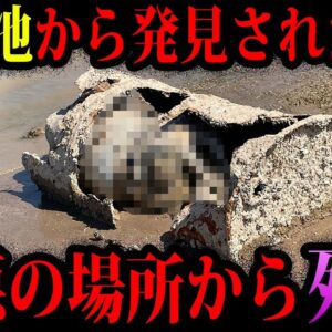 【ゆっくり解説】グロすぎて閲覧注意…死体が見つかったとんでもない場所６選